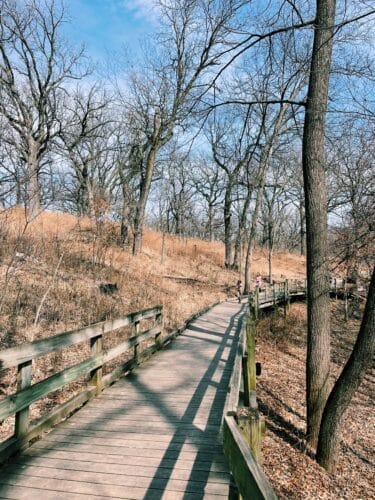 Fontenelle Forest
